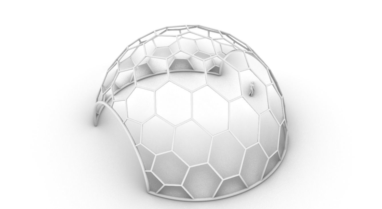 Hexagonal Dome structure Geodesic Like Wireframe Design V2 3D model_76
