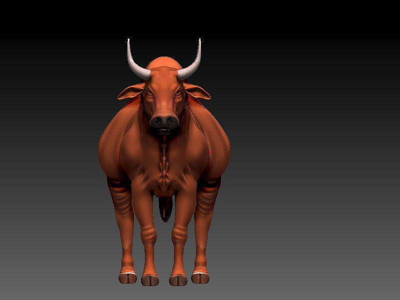 3D Bull 3D model_2