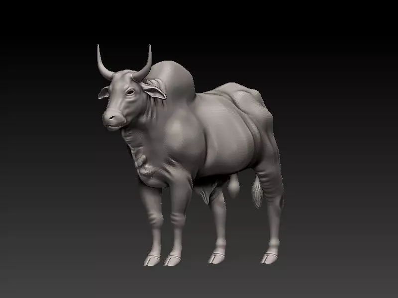 3D Bull 3D model_0