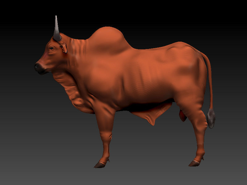 3D Bull 3D model_3
