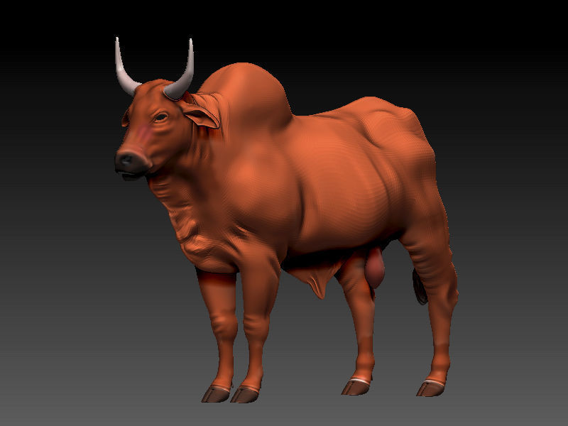 3D Bull 3D model_1