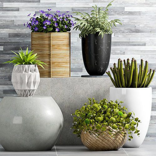 Decorative plant set-67 3D model