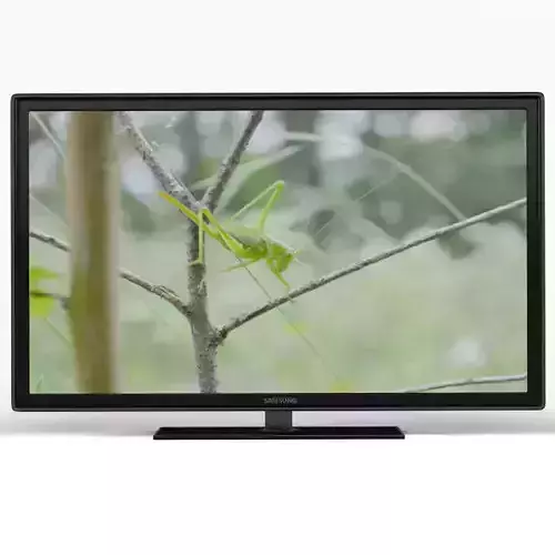 Samsung grasshopper on tv 3D model
