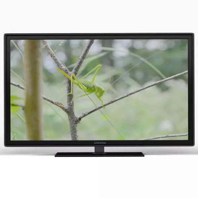 Samsung grasshopper on tv 3D model_0