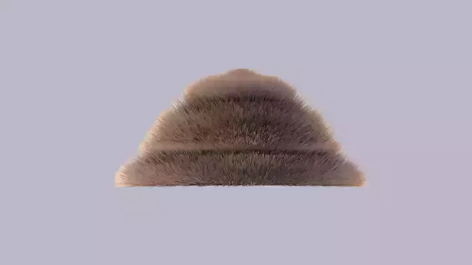 Hat Fur