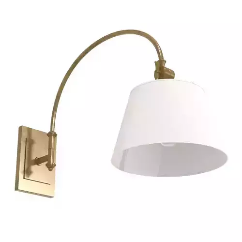 Light Antique Brass Swing Arm   by Currey  Company perigold 3D model