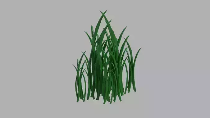 Grass