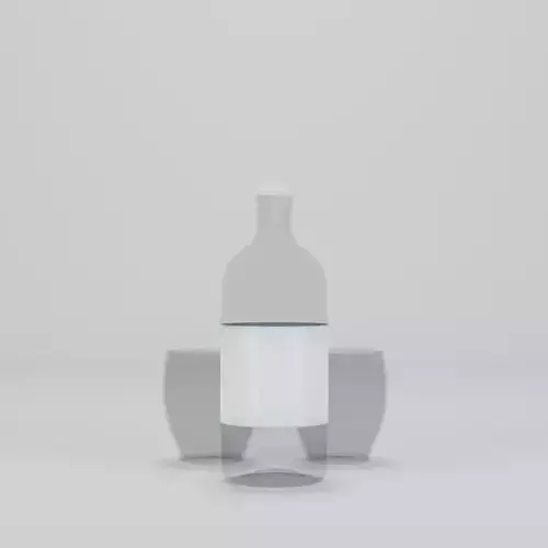 Bottle and Glass