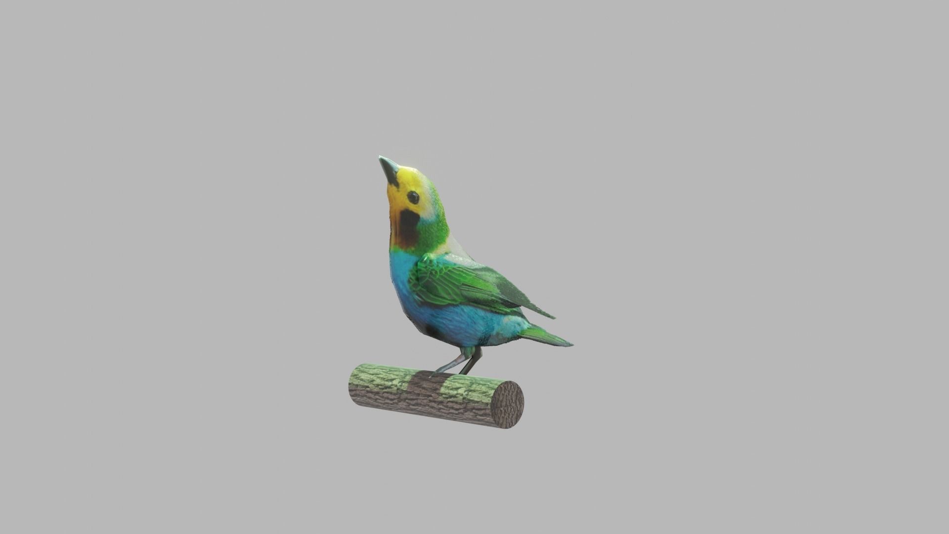 bird flying Low-poly 3D model_4