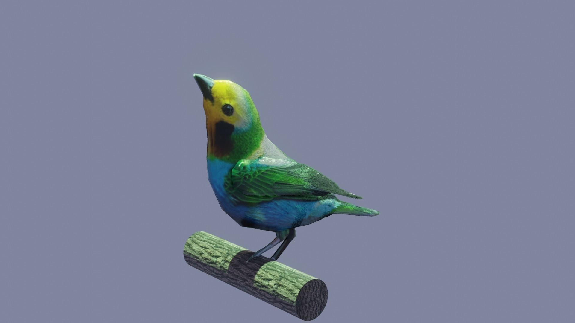 bird flying Low-poly 3D model_2