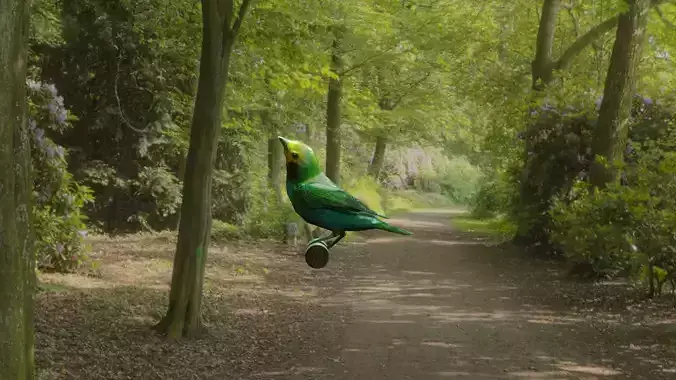 bird flying