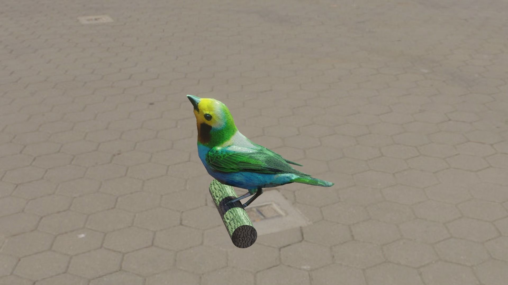 bird flying Low-poly 3D model_3