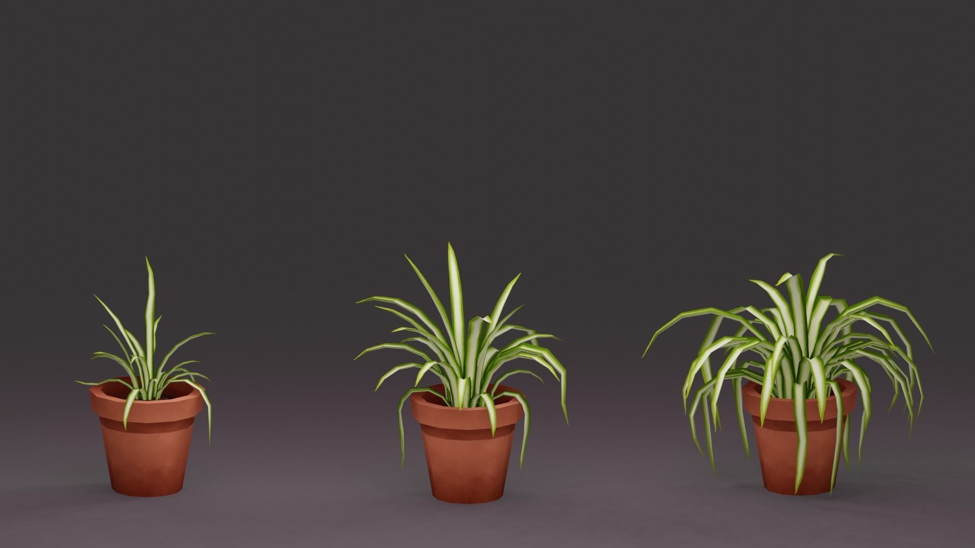 House Plant Pack Low-poly 3D model_2