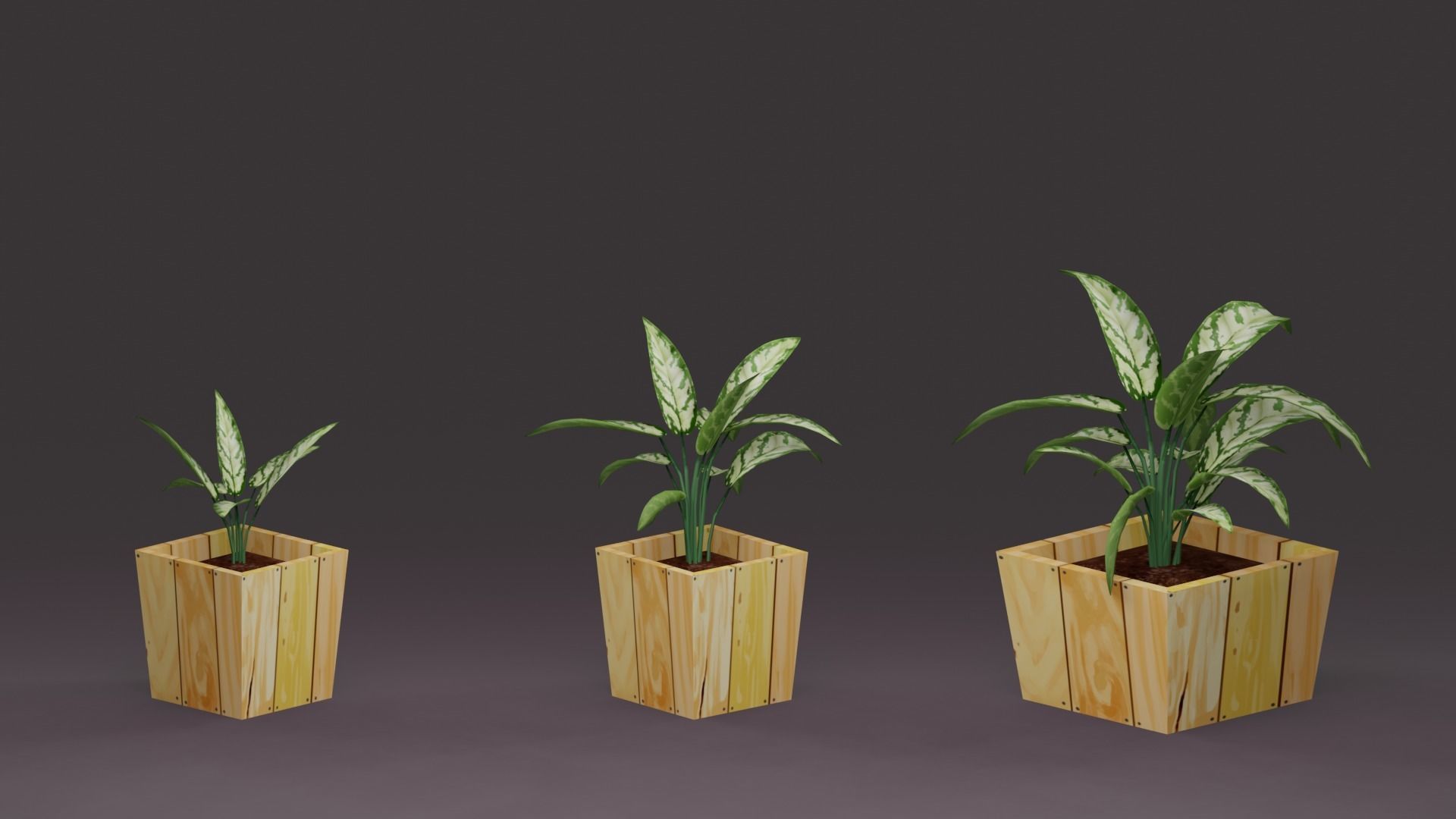 House Plant Pack Low-poly 3D model_3