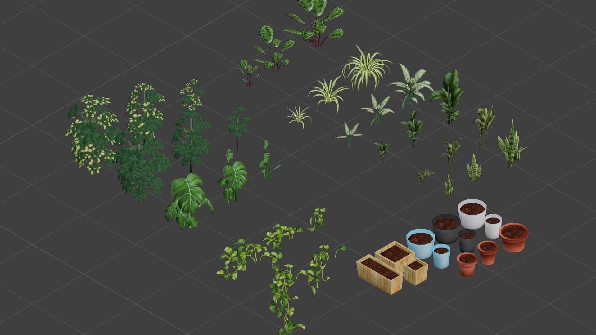 House Plant Pack Low-poly 3D model_4