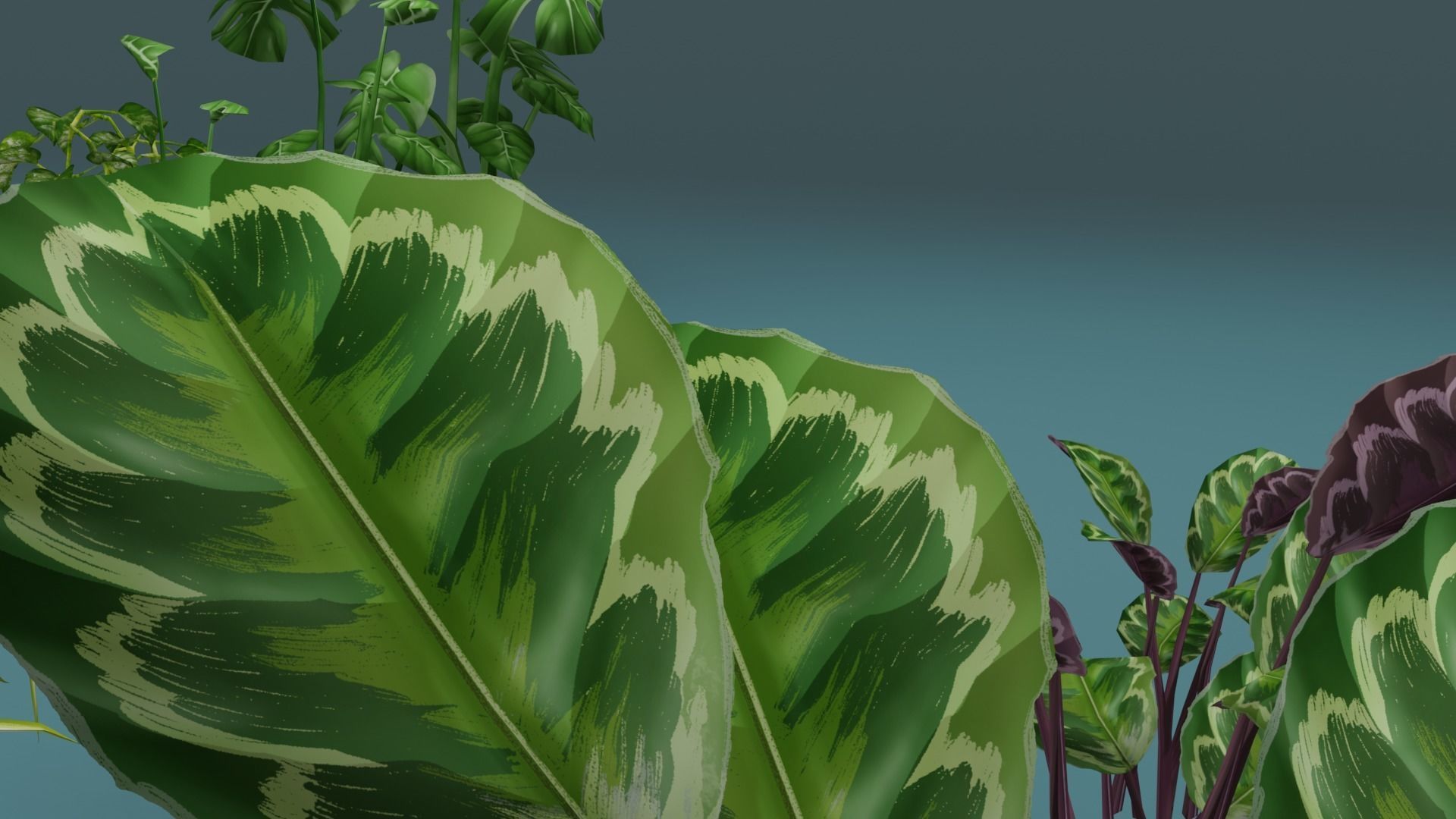 House Plant Pack Low-poly 3D model_6