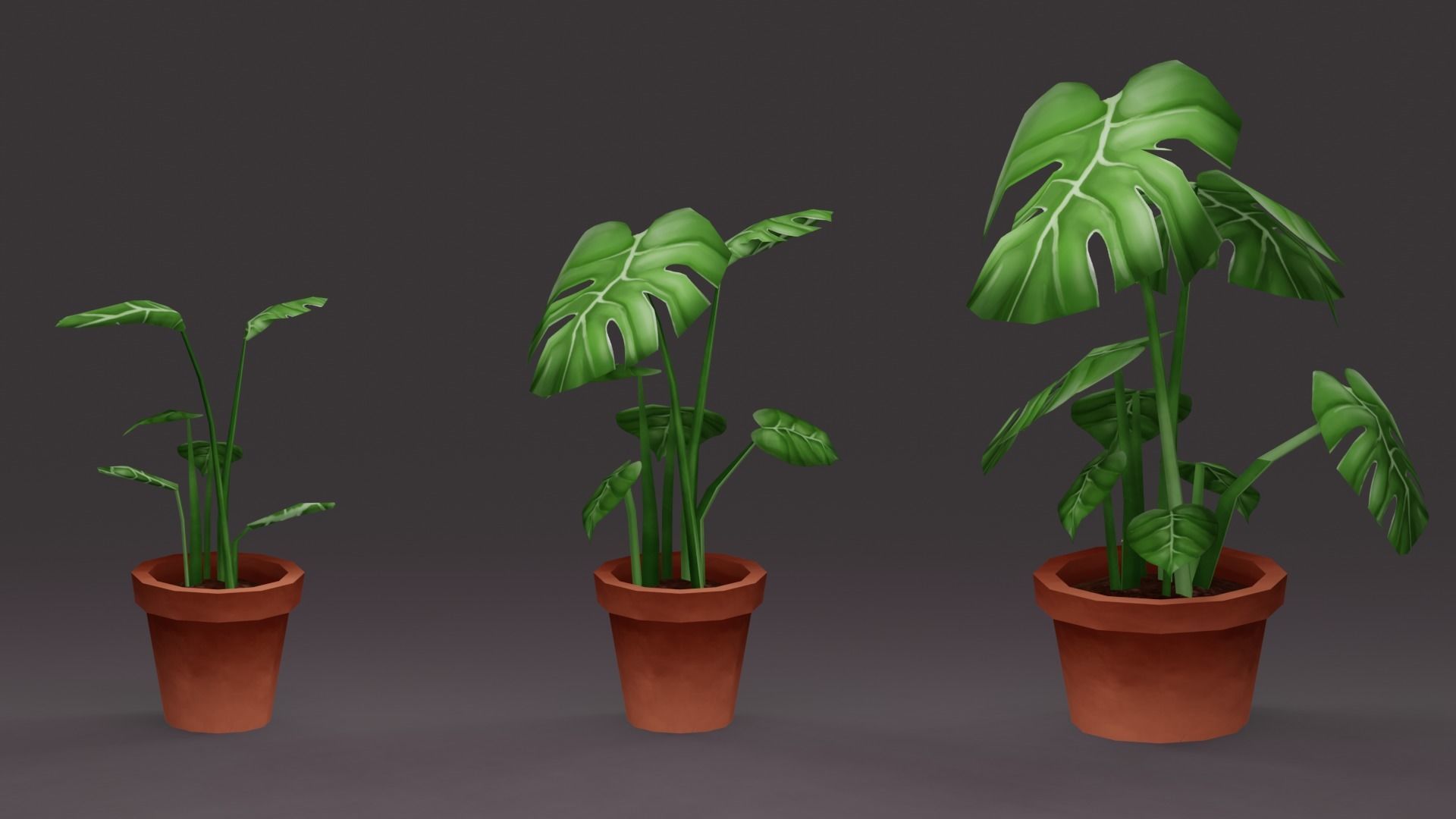 House Plant Pack Low-poly 3D model_1