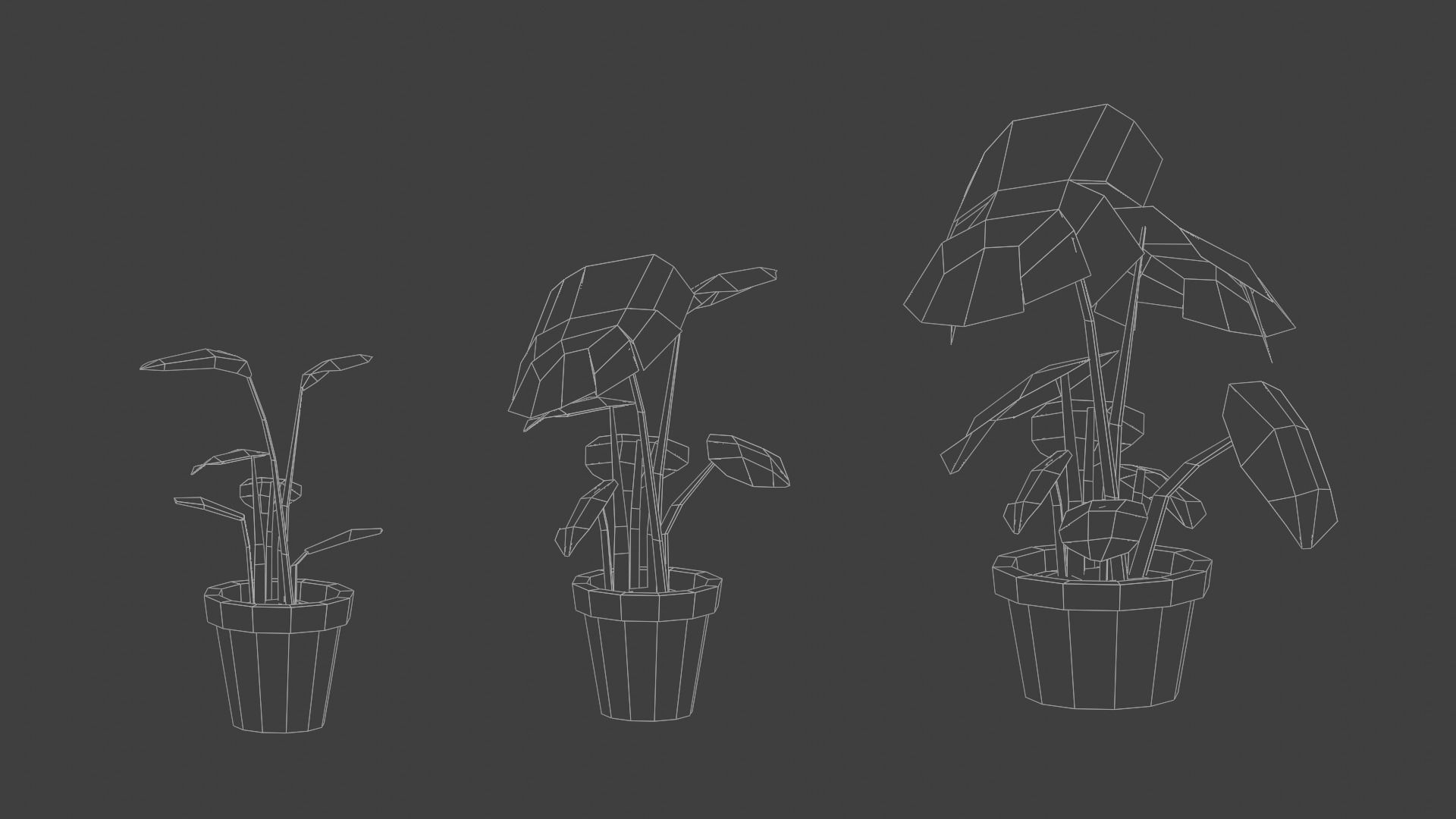 House Plant Pack Low-poly 3D model_7