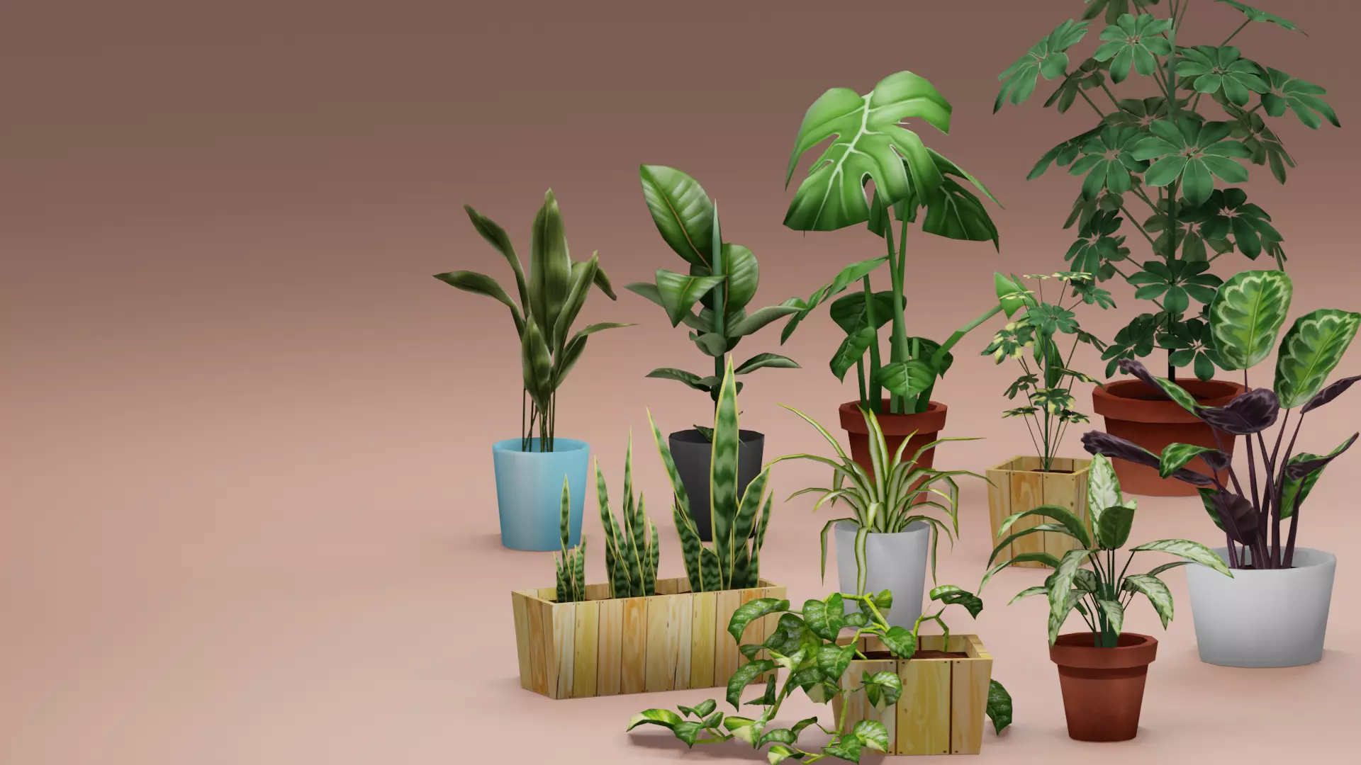House Plant Pack Low-poly 3D model_0