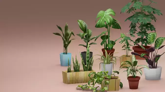 House Plant Pack Low-poly 3D model
