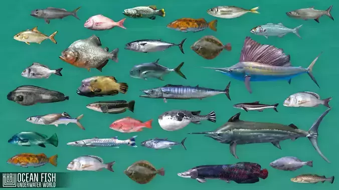 Ocean fish - underwater world Low-poly 3D model