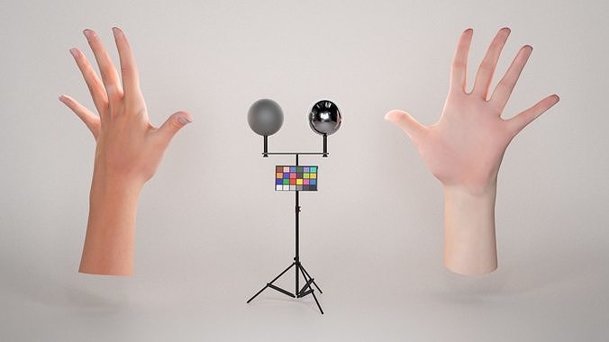 Female hand 39 Low-poly 3D model