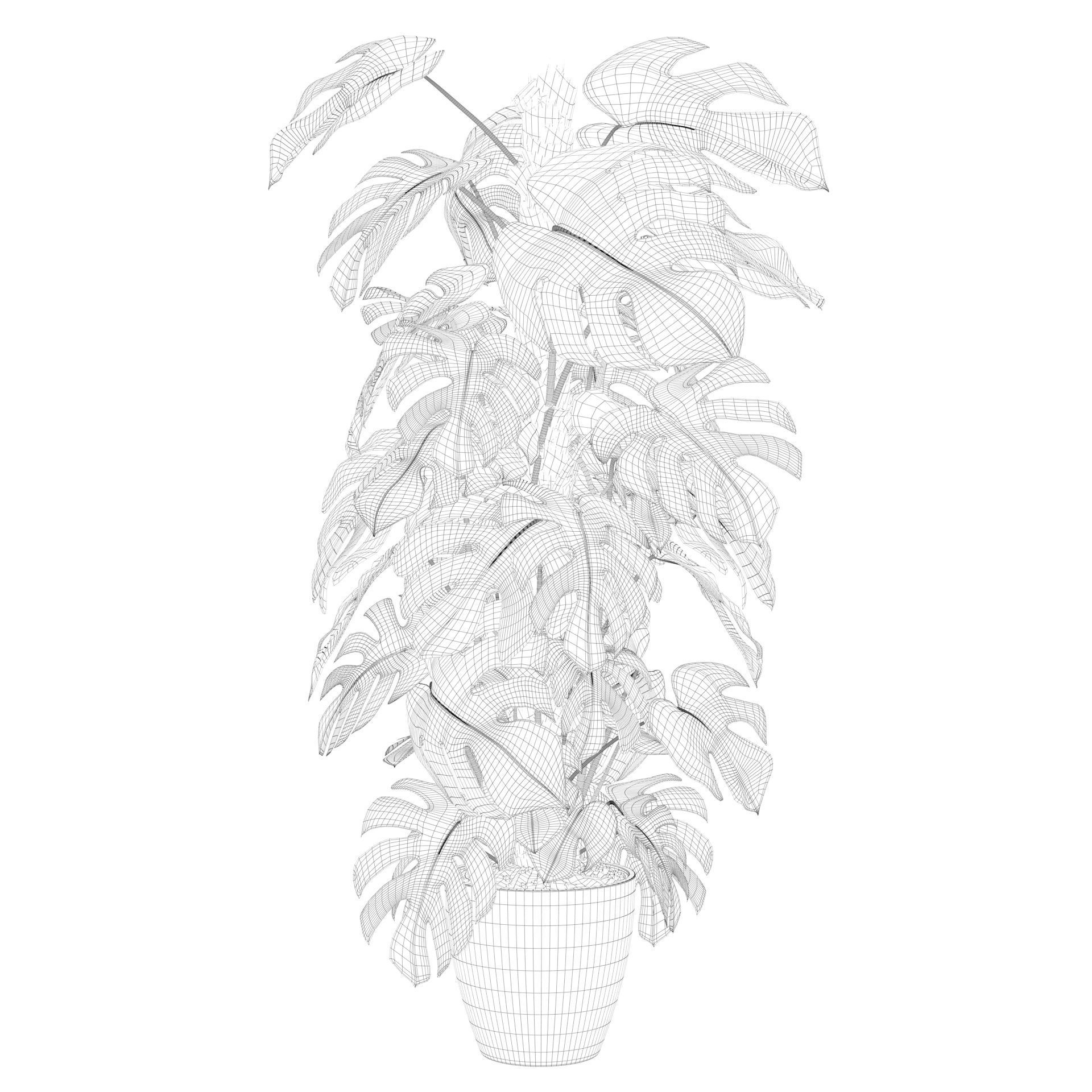 Monstera 150cm 3D model_52