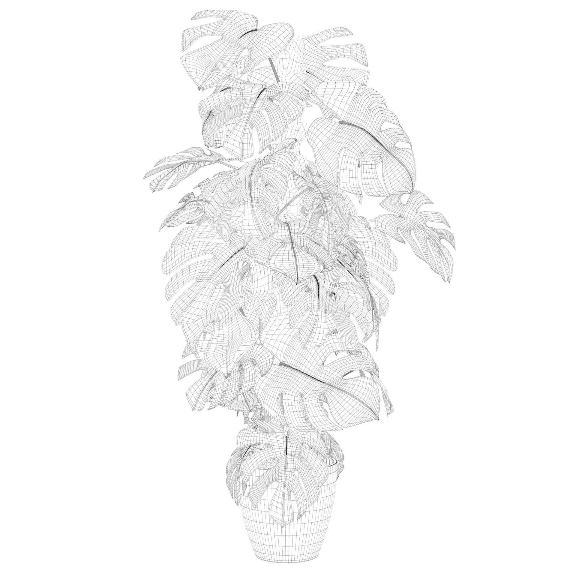 Monstera 150cm 3D model_51