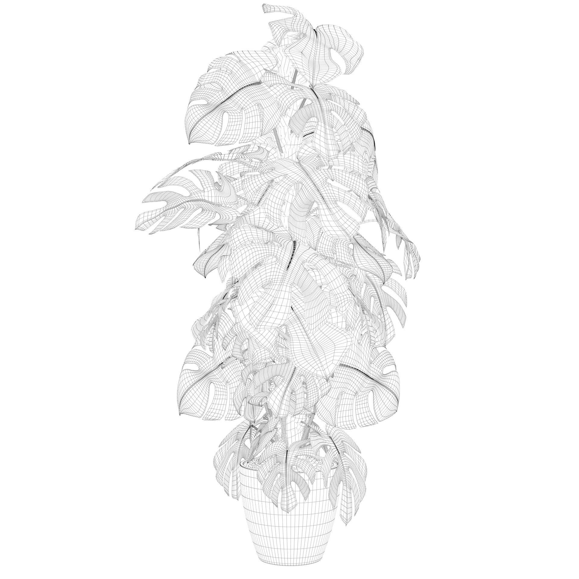 Monstera 150cm 3D model_38