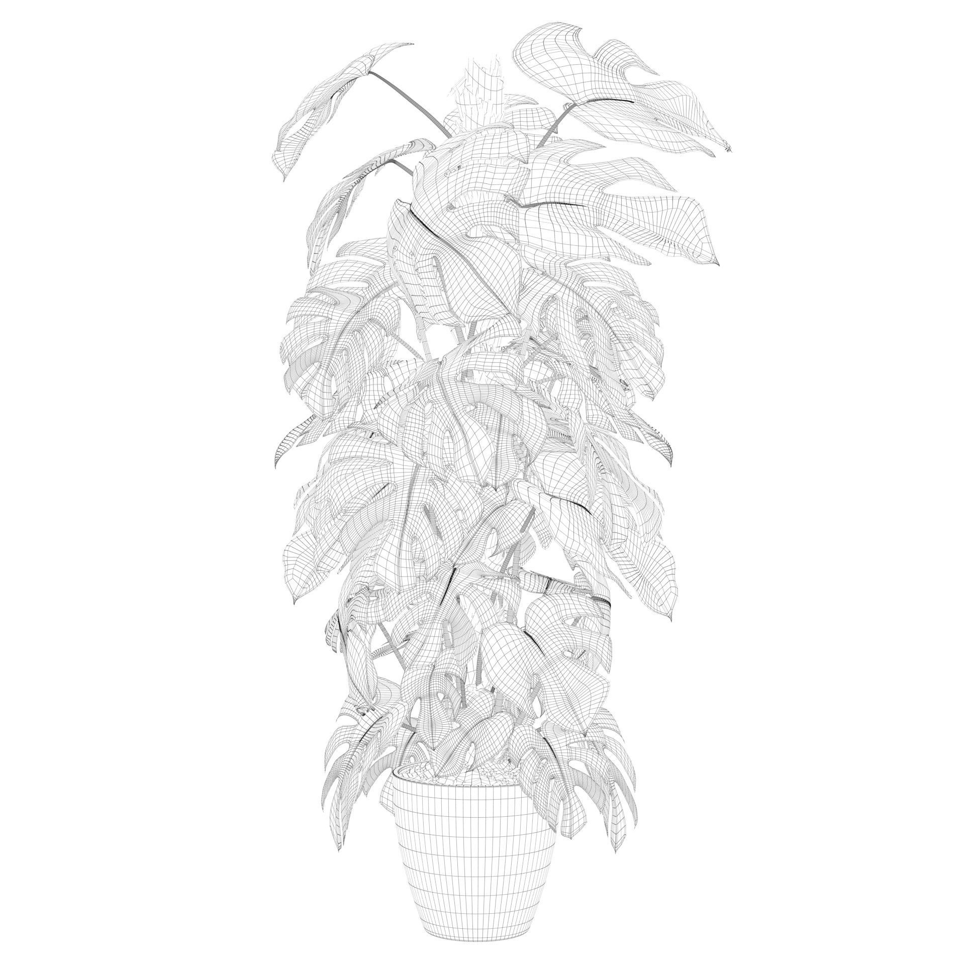 Monstera 150cm 3D model_45