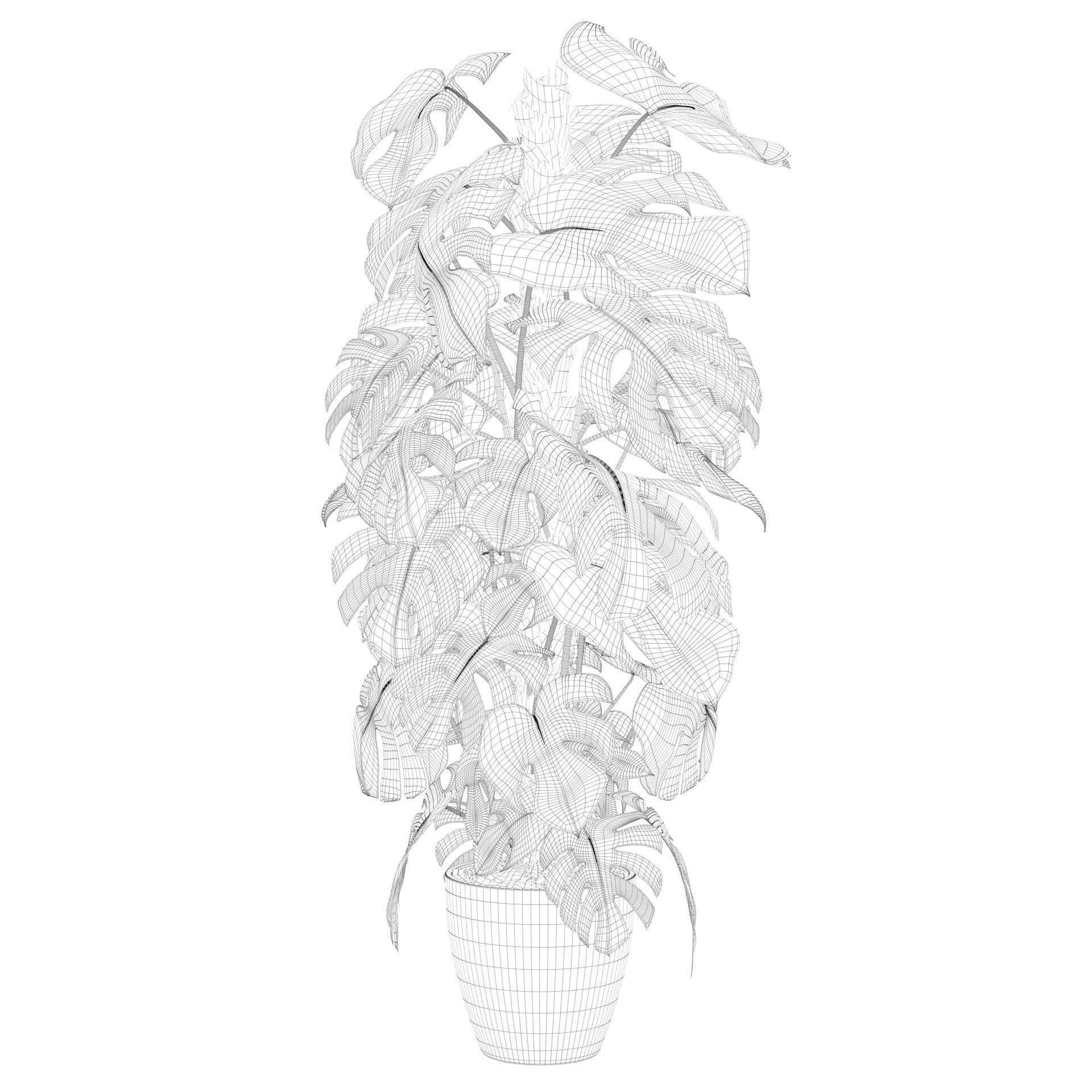 Monstera 150cm 3D model_33