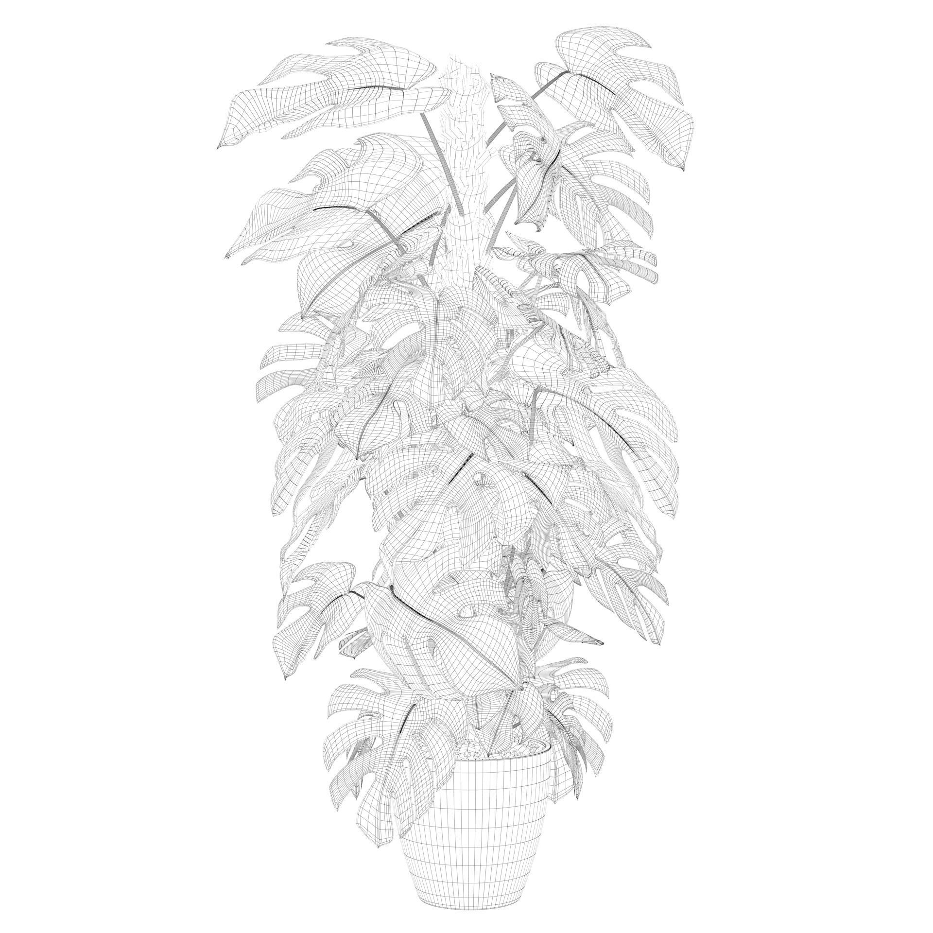 Monstera 150cm 3D model_37