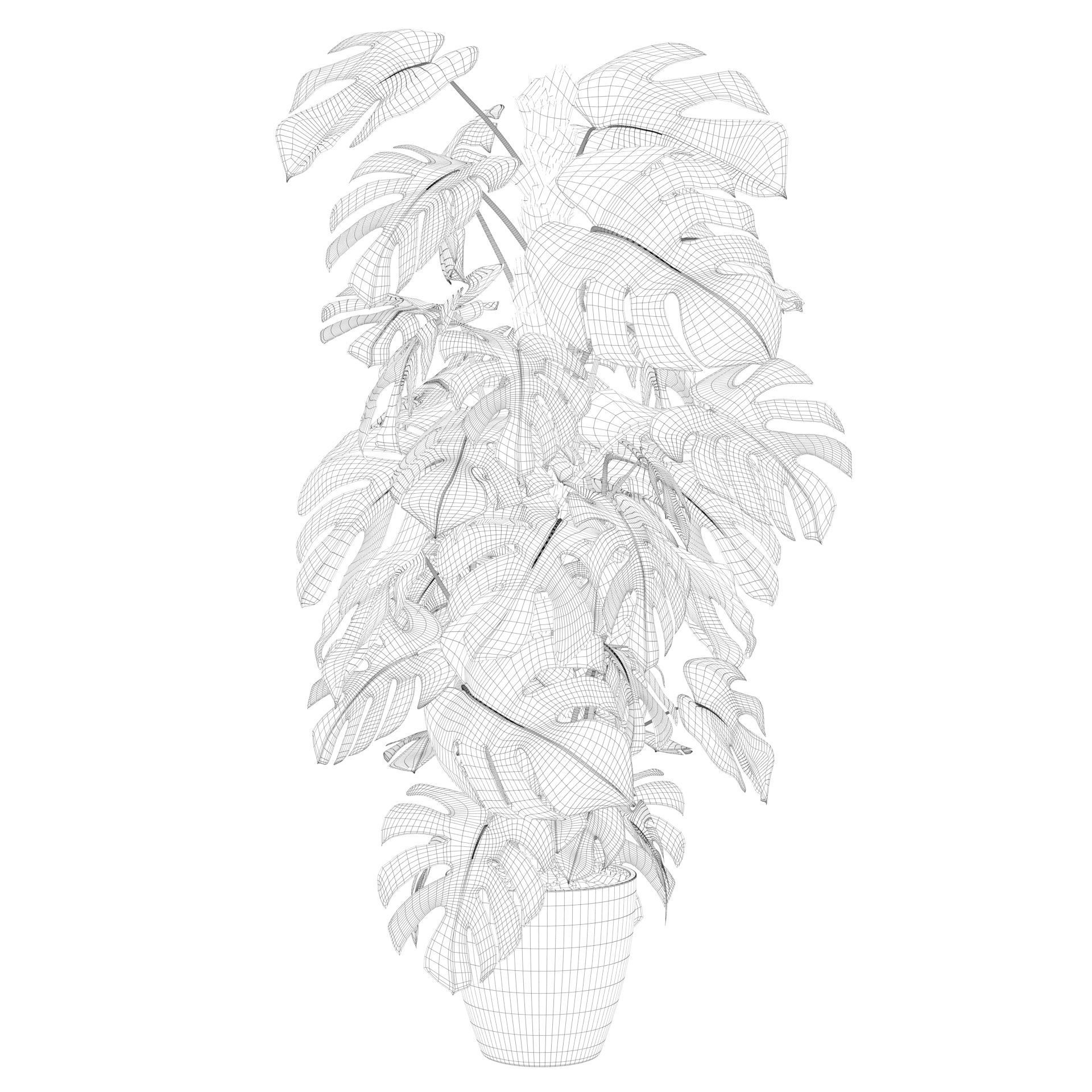 Monstera 150cm 3D model_50