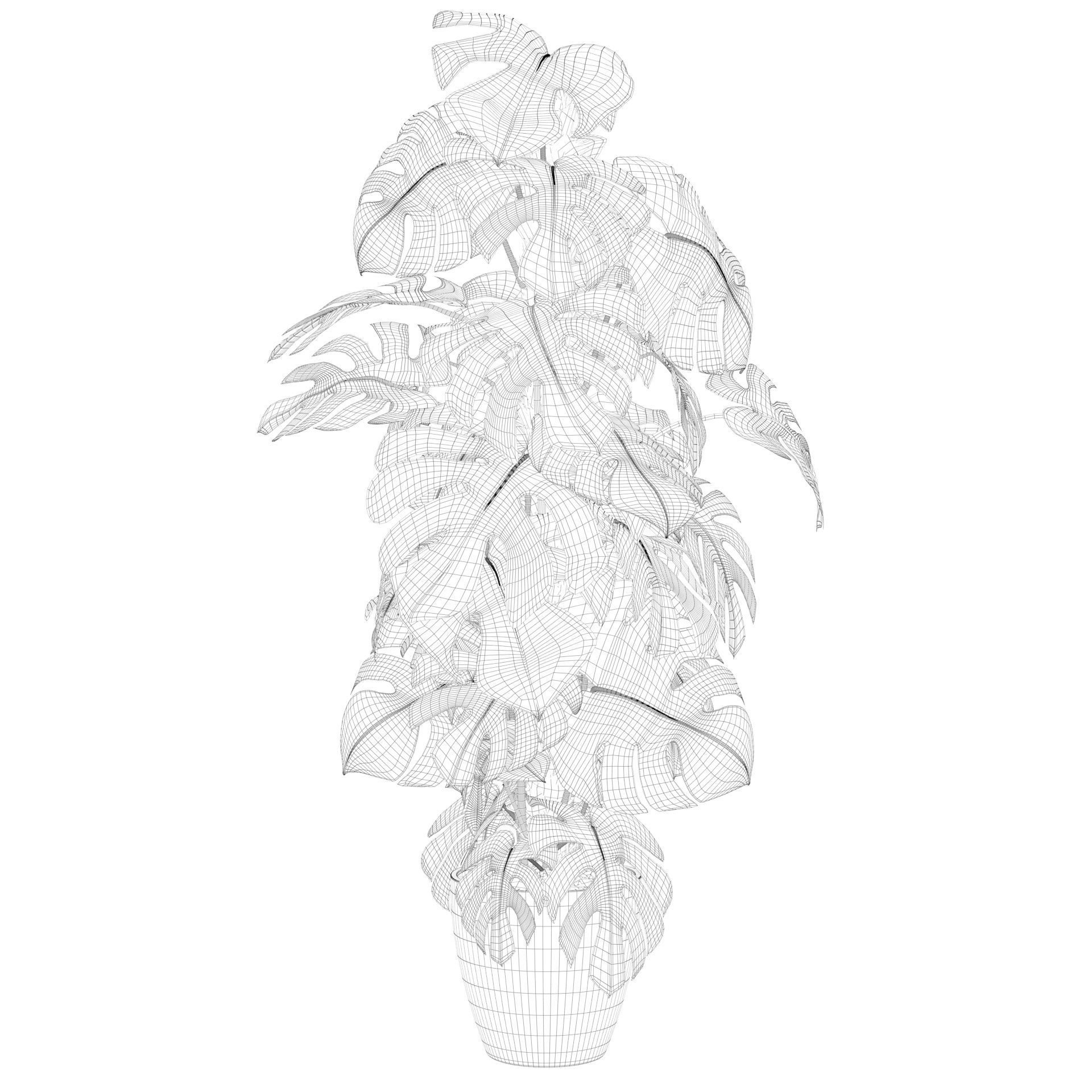 Monstera 150cm 3D model_53