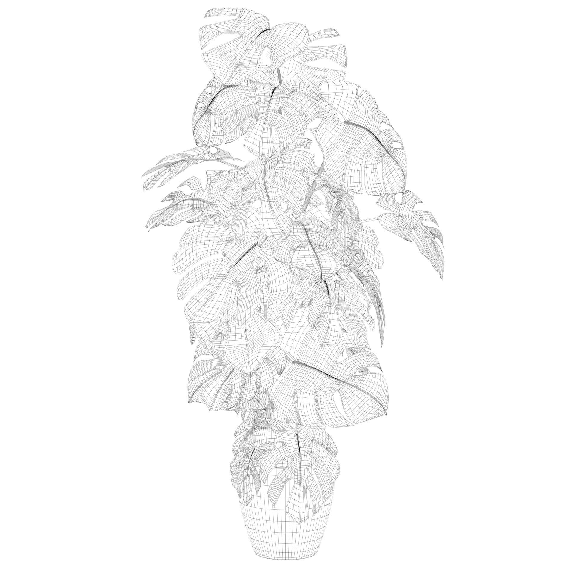 Monstera 150cm 3D model_55