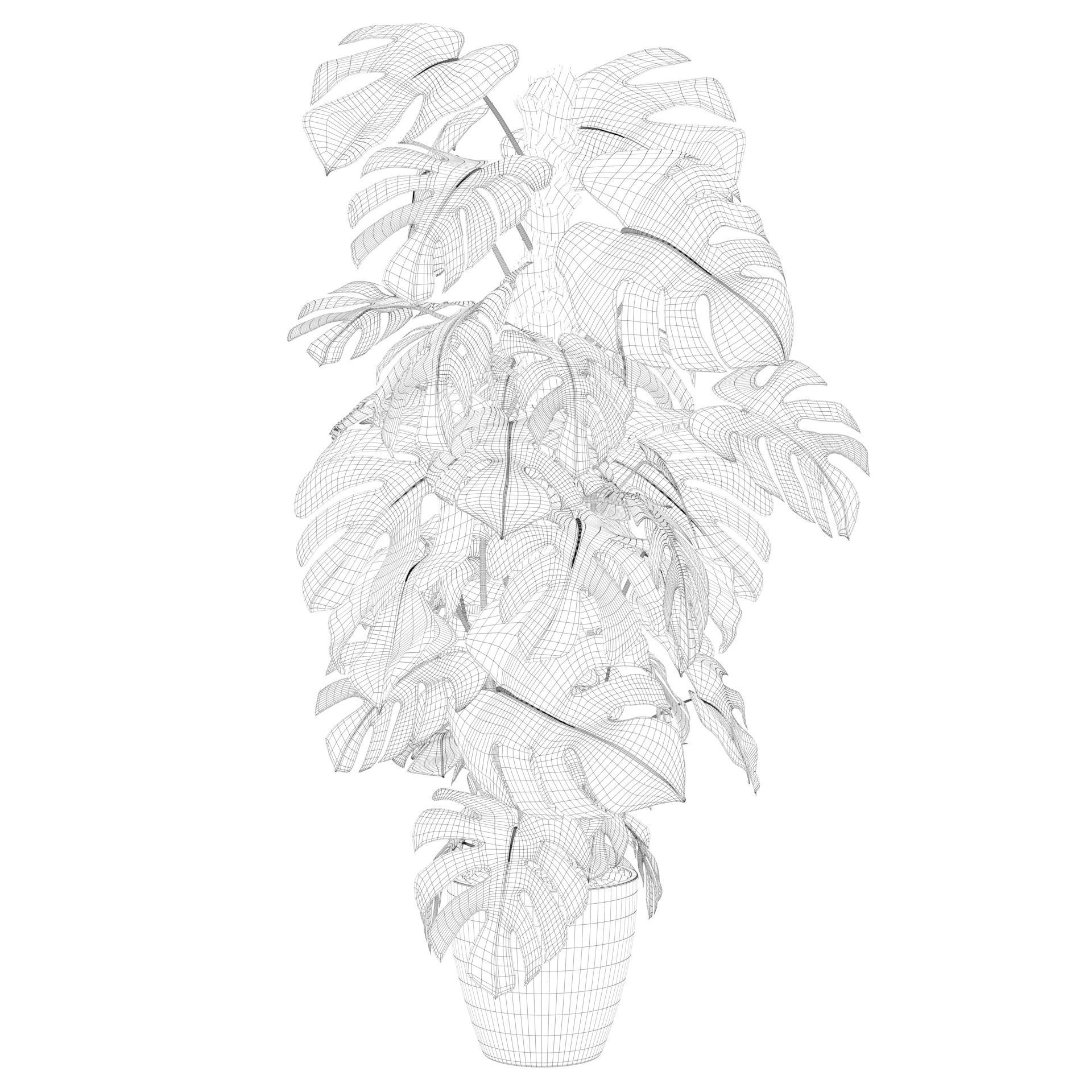 Monstera 150cm 3D model_47