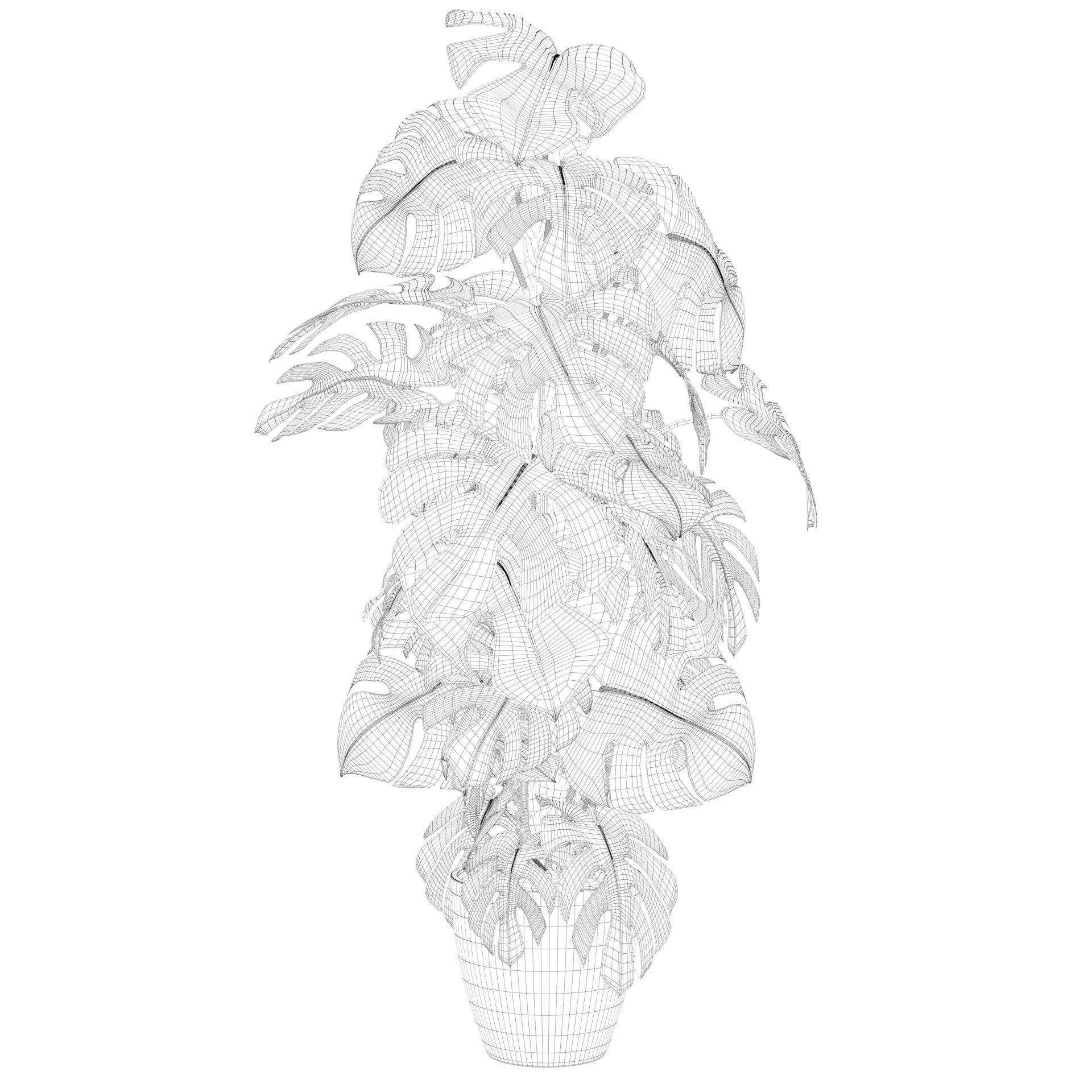 Monstera 150cm 3D model_39