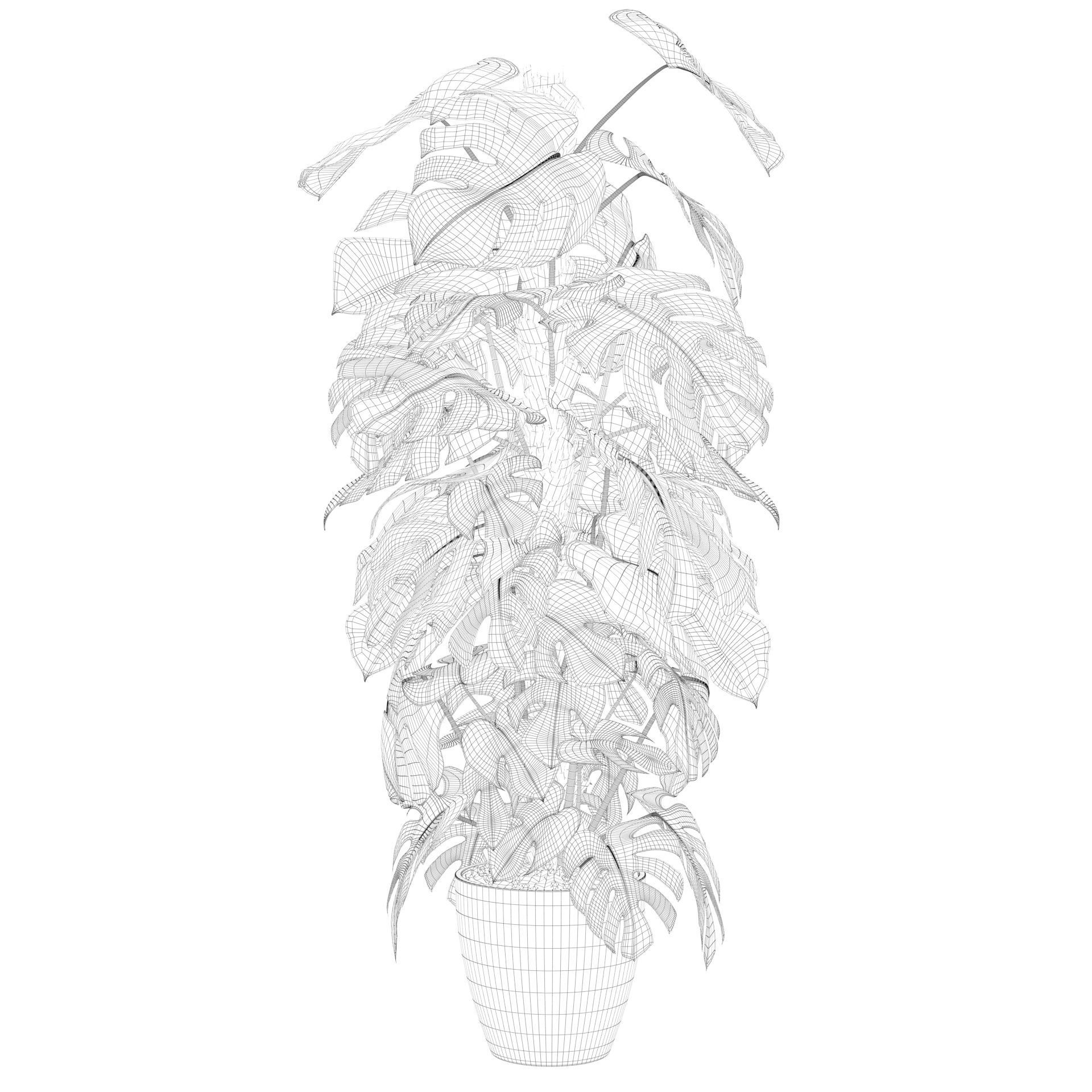 Monstera 150cm 3D model_43