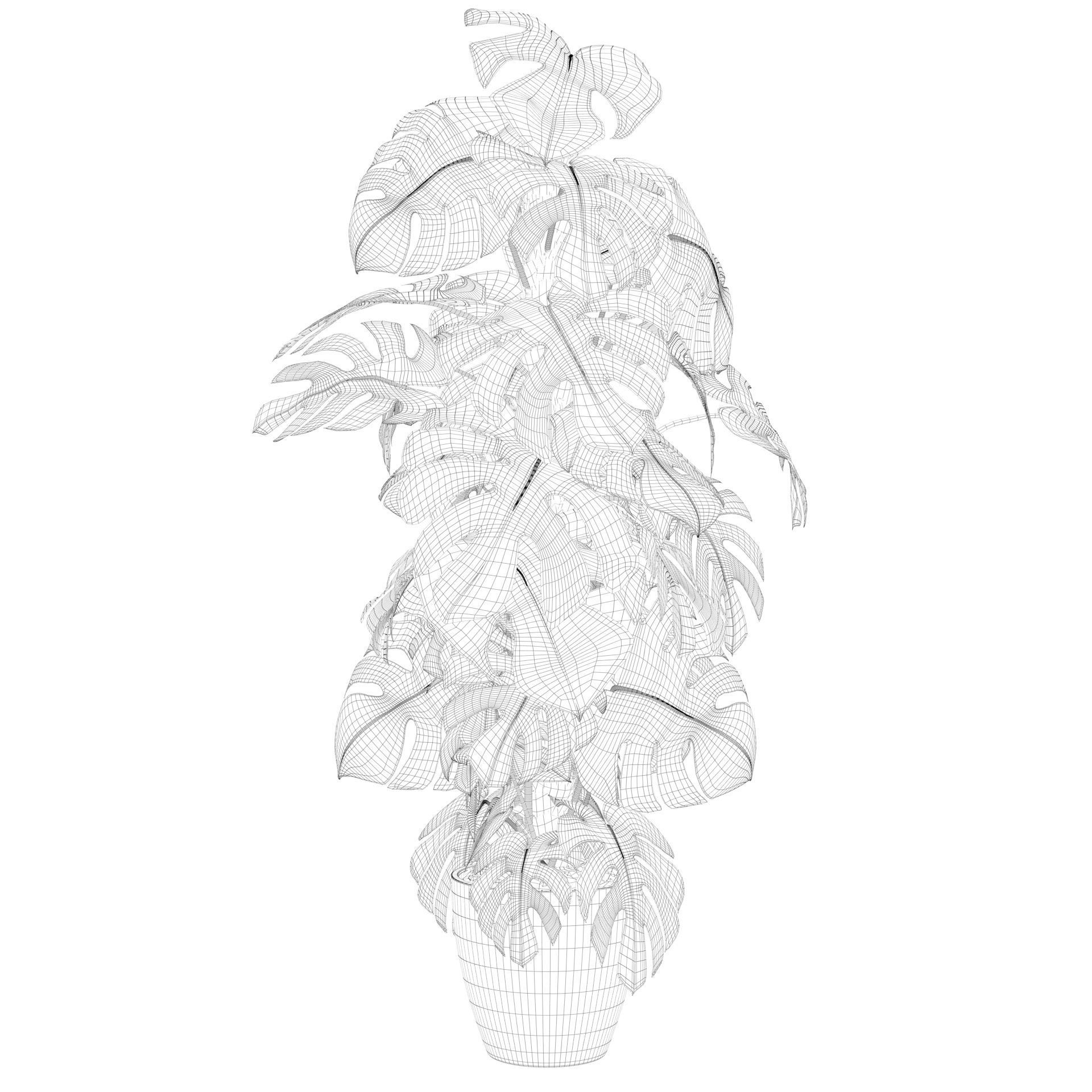 Monstera 150cm 3D model_32