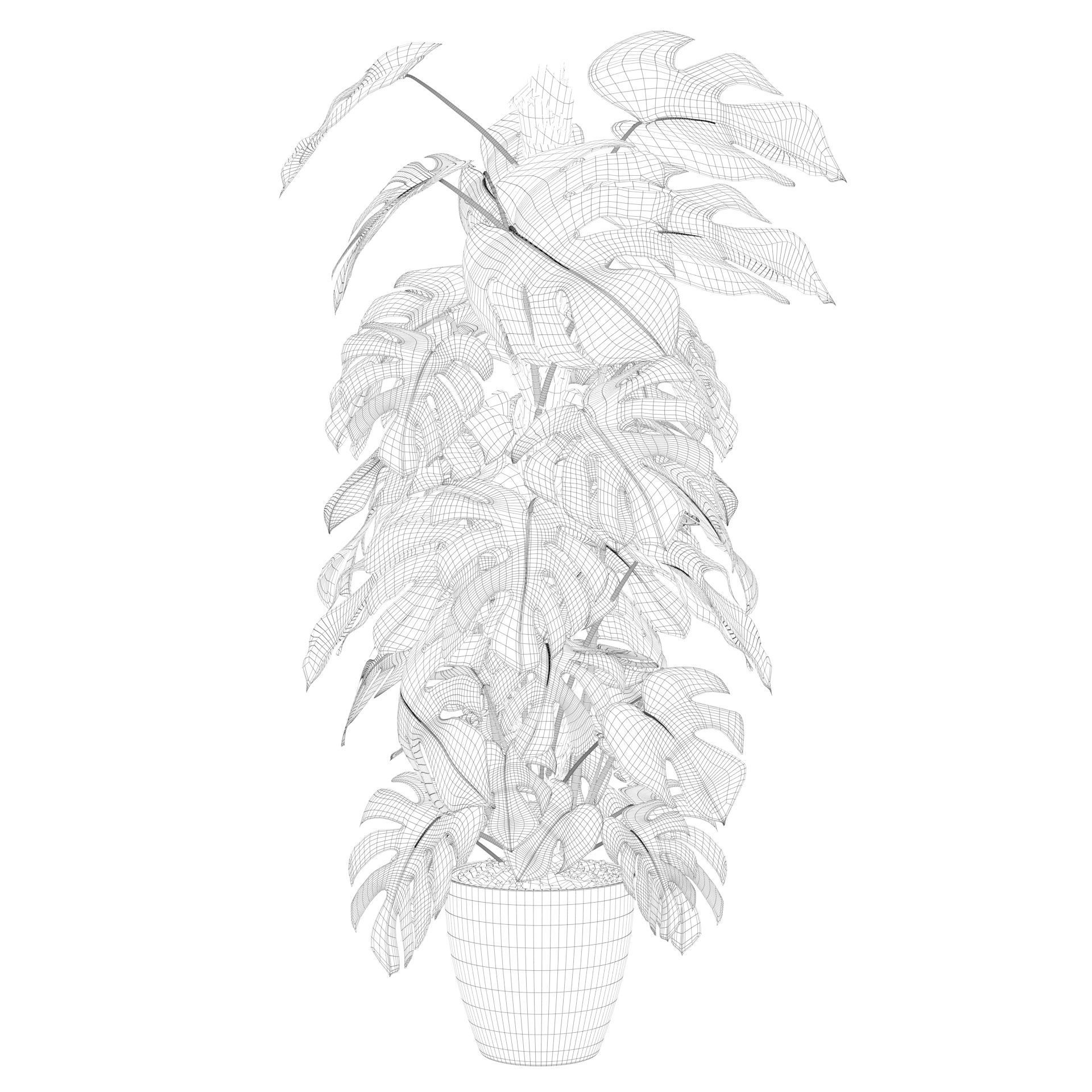 Monstera 150cm 3D model_48