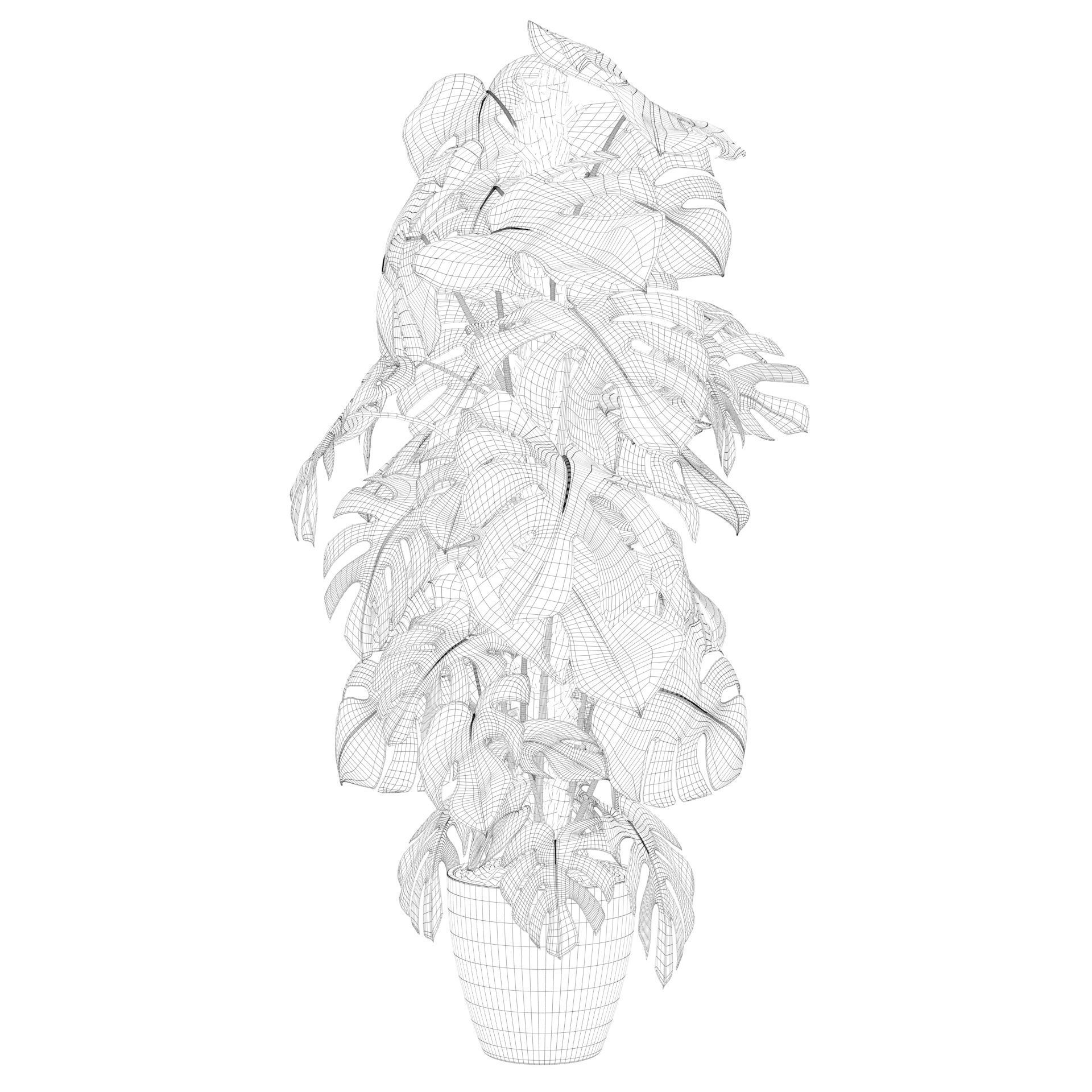 Monstera 150cm 3D model_44