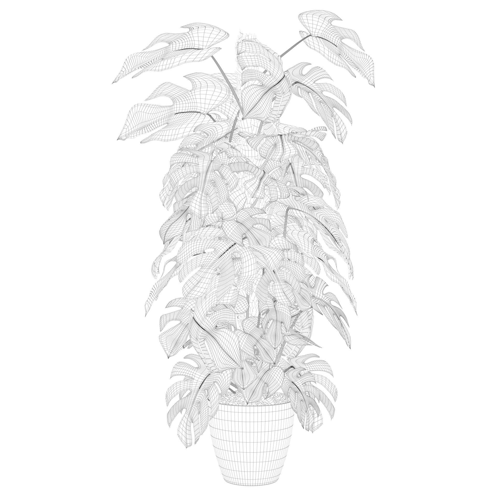 Monstera 150cm 3D model_36
