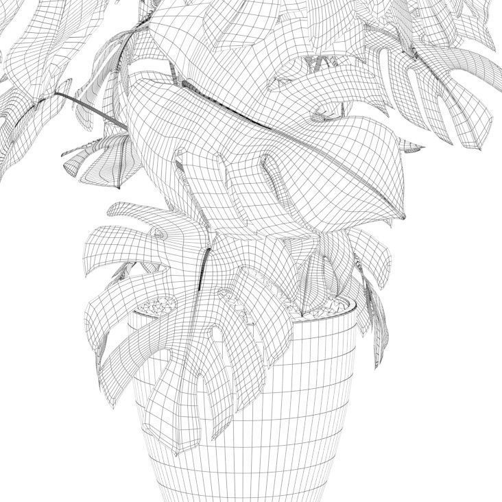 Monstera 150cm 3D model_4