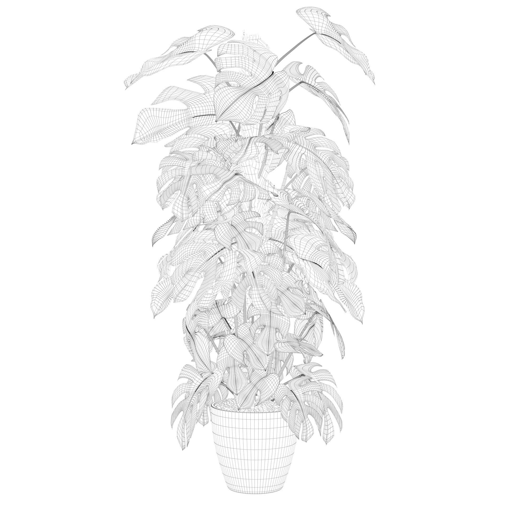 Monstera 150cm 3D model_35