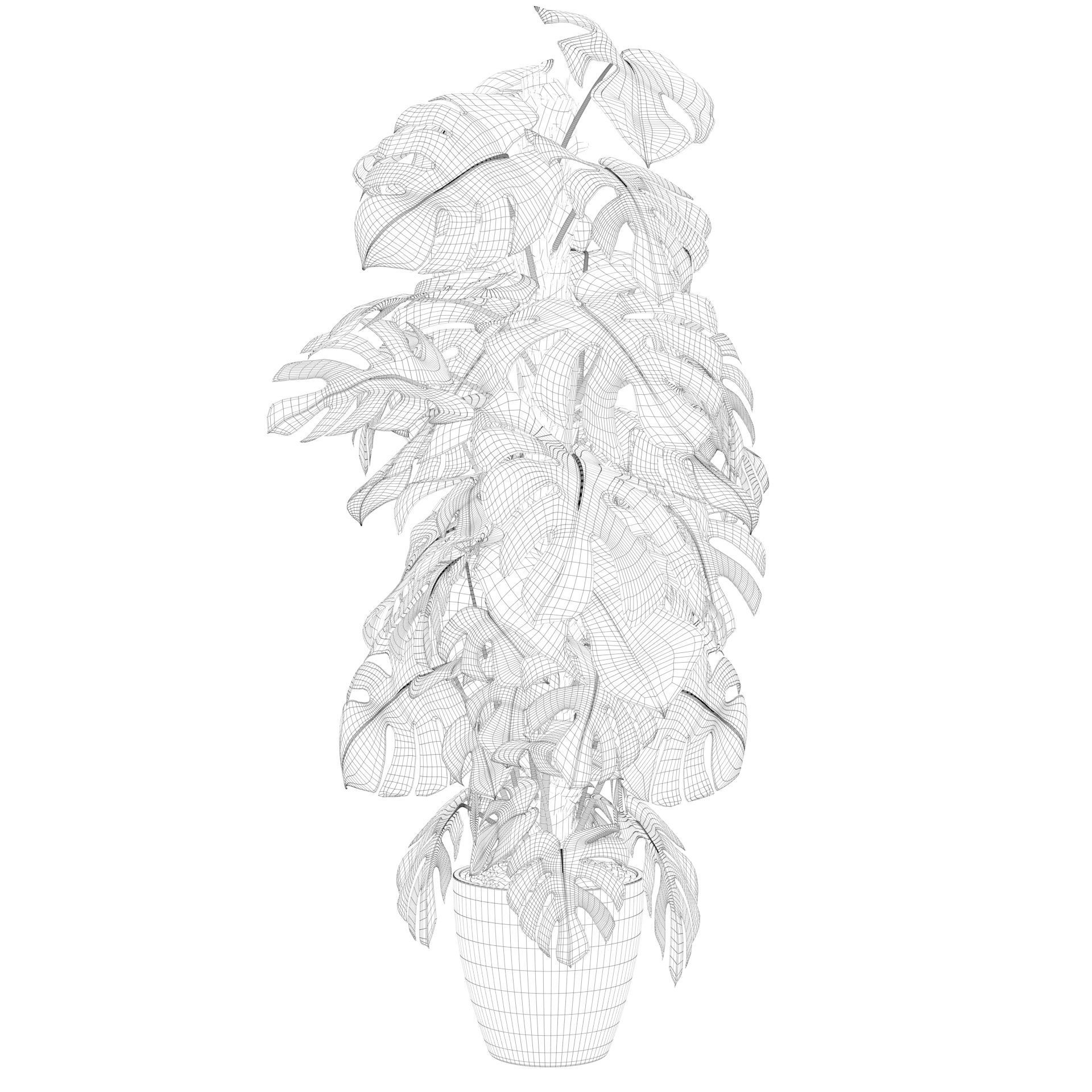 Monstera 150cm 3D model_42