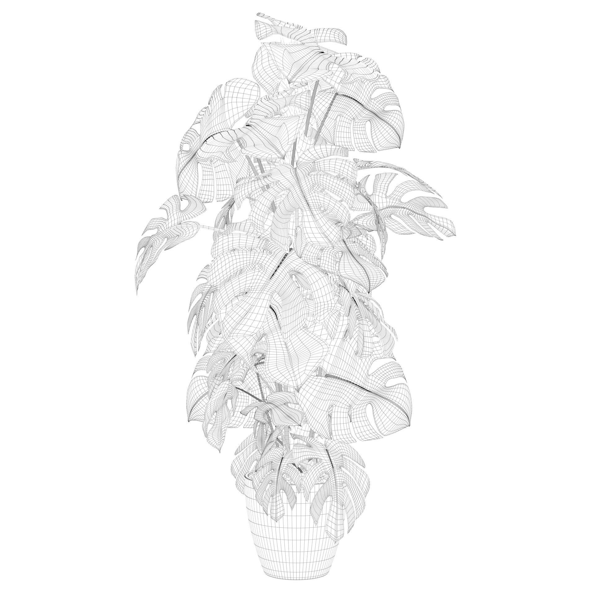 Monstera 150cm 3D model_46