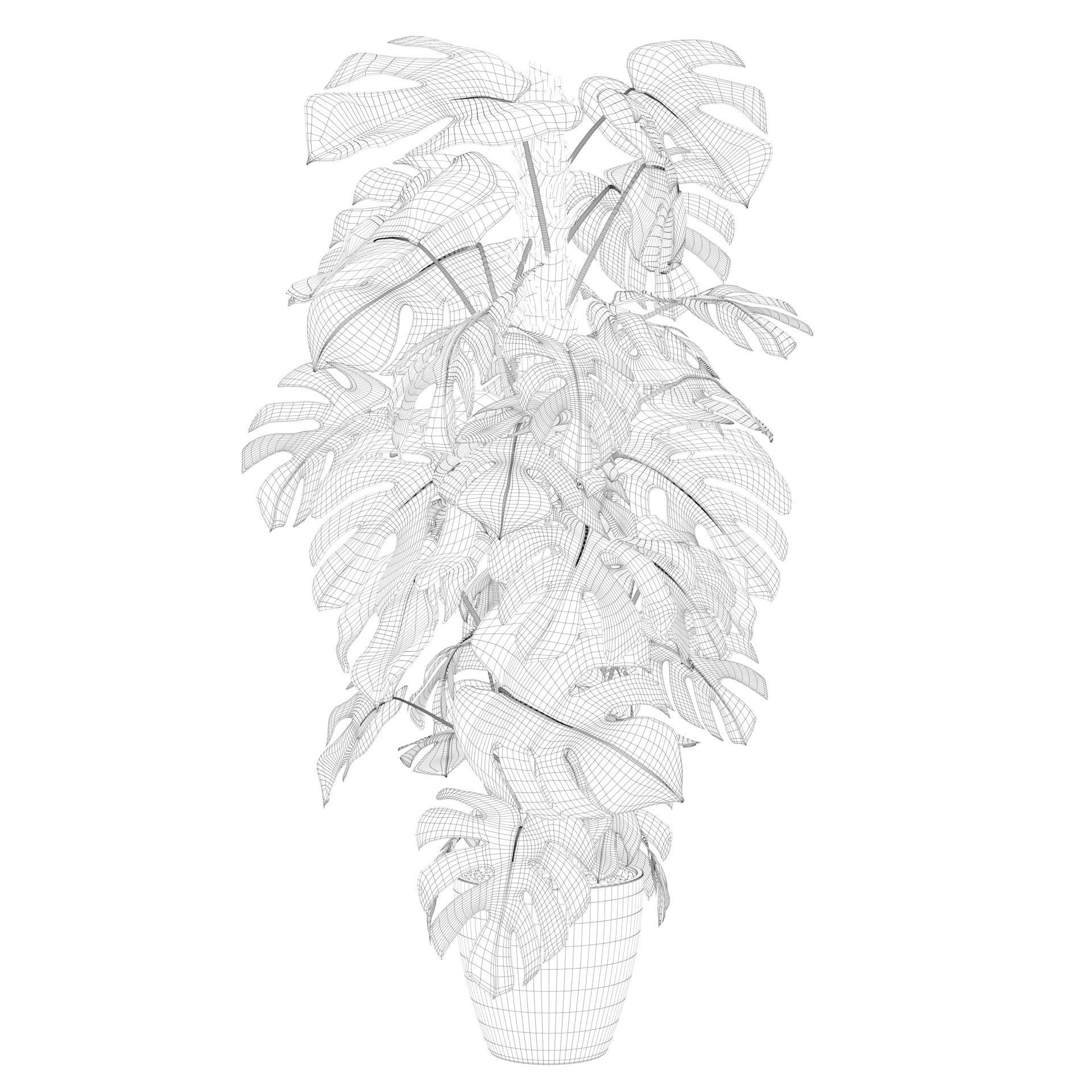 Monstera 150cm 3D model_49