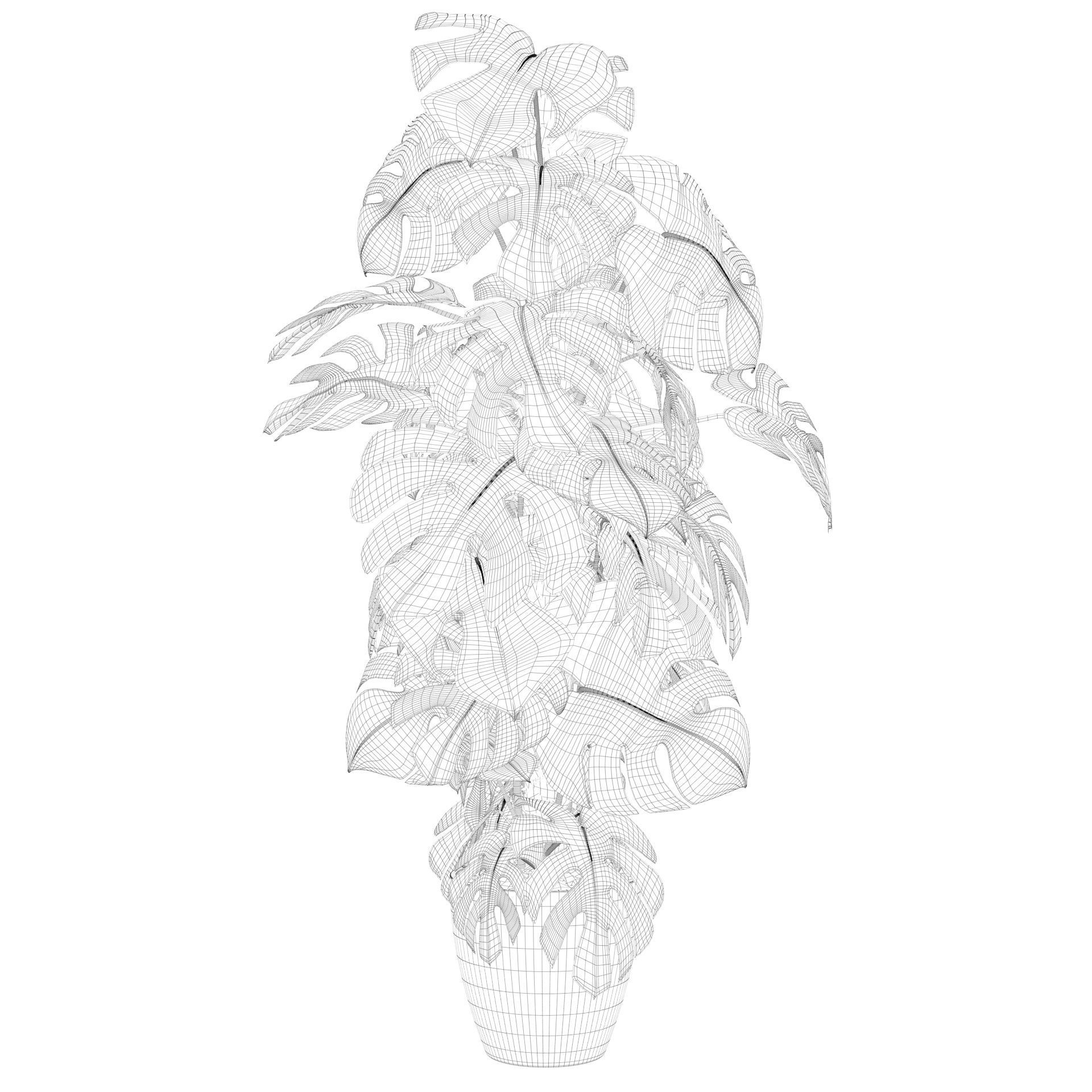 Monstera 150cm 3D model_54