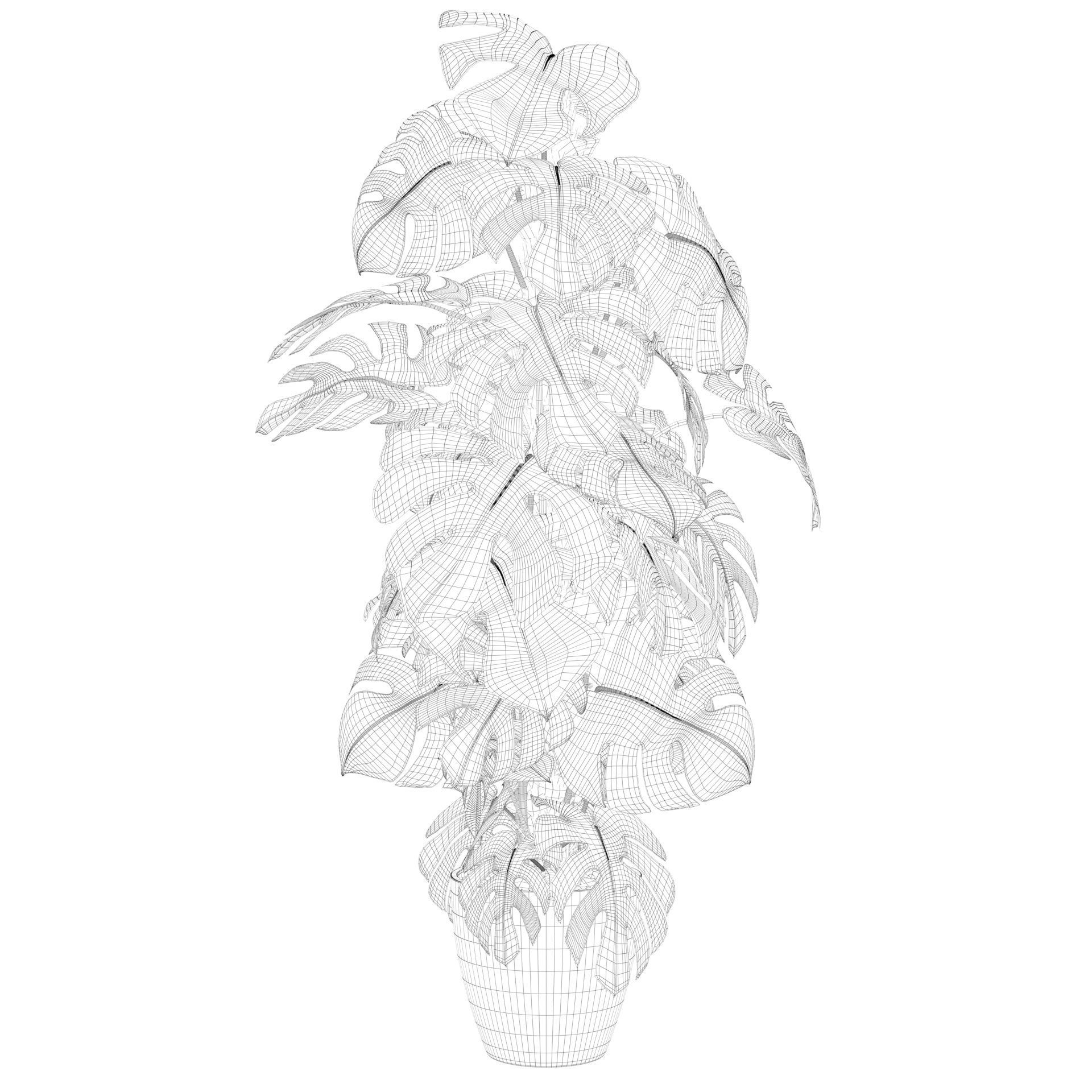 Monstera 150cm 3D model_34