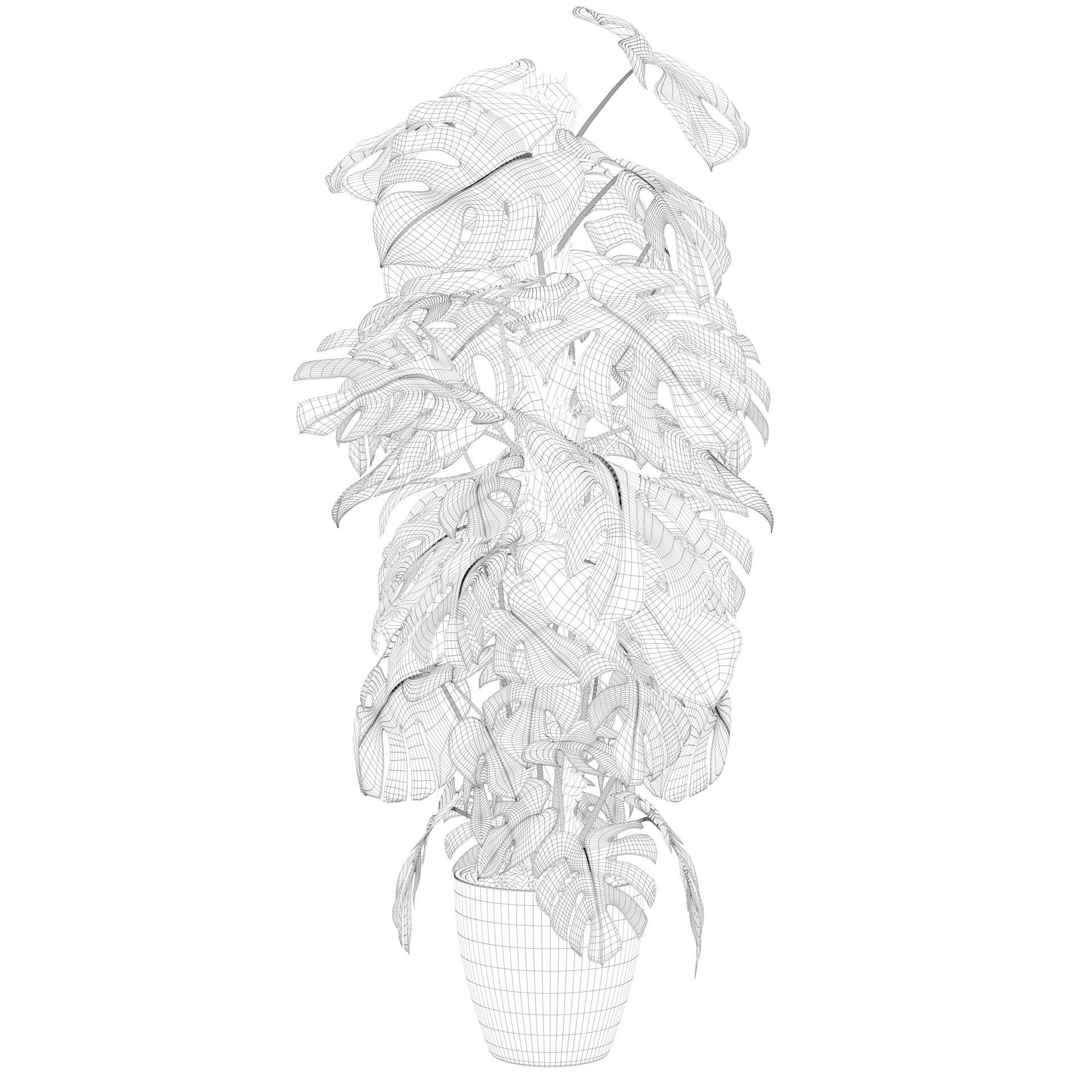 Monstera 150cm 3D model_40